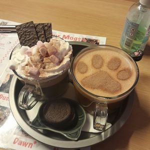The Garymel hot choc (caramel, on the right) at Mog on the Tyne in Newcastle Upon Tyne
