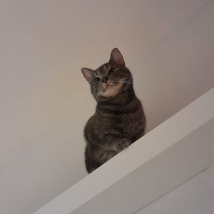  at Mog on the Tyne in Newcastle Upon Tyne