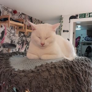  at Mog on the Tyne in Newcastle Upon Tyne