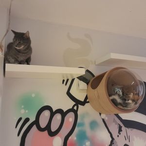  at Mog on the Tyne in Newcastle Upon Tyne