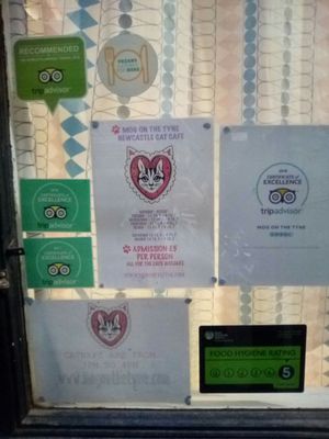 Window stuff of Mog on The Tyne. at Mog on the Tyne in Newcastle Upon Tyne