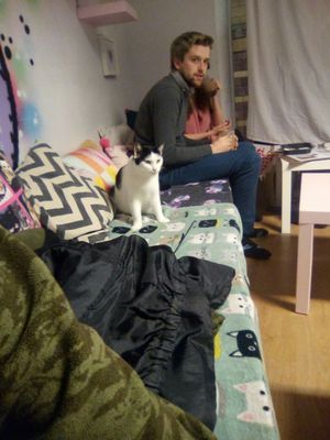 This little fella is Wobbles! X x at Mog on the Tyne in Newcastle Upon Tyne