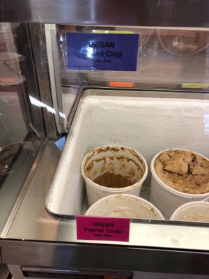 Vegan ice cream options  at Ben & Bill's Chocolate Emporium in Oak Bluffs