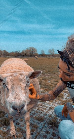   at The Farm Animal Sanctuary in Evesham