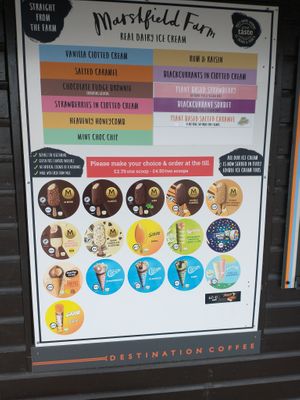 3 vegan ice cream flavours & Swedish glace cone  at Junction 8 in Reigate