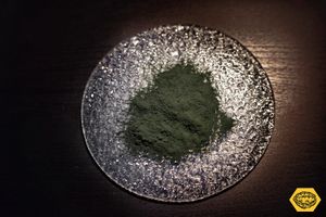Spirulina at Samskara in Barcelona