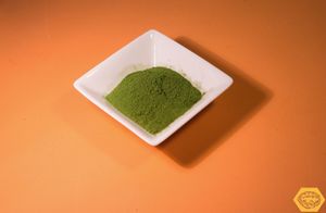 moringa at Samskara in Barcelona