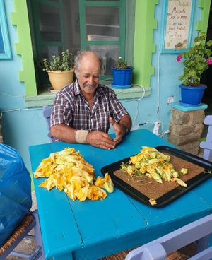  at Karavogianos in Lesvos
