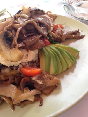 Pulse mushroom special  at Pulse in Crete