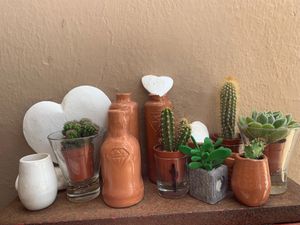 atmosphere at Pulse in Crete