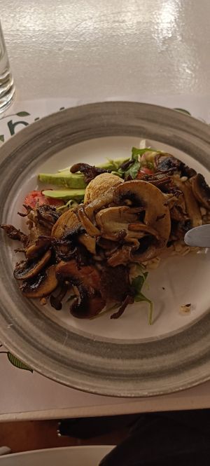 Pulse mushroom main at Pulse in Crete