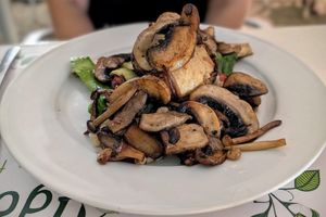 Mushroom main at Pulse in Crete