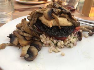 Pulse Mushroom Specil with Potonello, Champignon and Risotto at Pulse in Crete