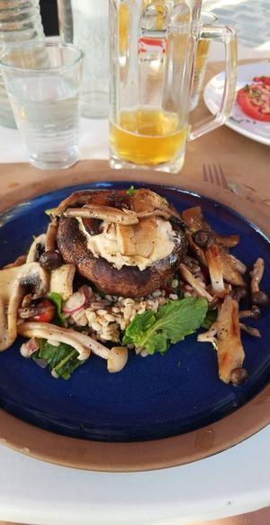 Their mushroom dish with vegan cheese sauce at Pulse in Crete