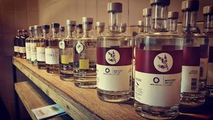 Gin Tasting at Zuhause in Augsburg