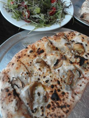 Vegan calzone with salad at Neo's Pizza in Douglas