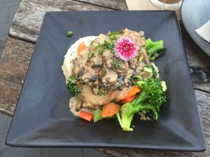 Scallopini at Doko Demo V in West Burleigh