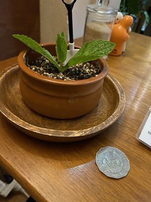 Yeah that's cute. at Doko Demo V in West Burleigh