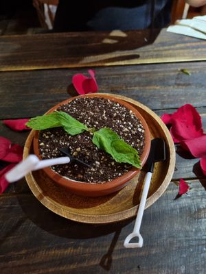  at Doko Demo V in West Burleigh