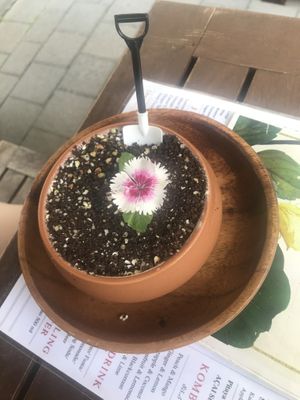 Dirt bowl Dessert  at Doko Demo V in West Burleigh