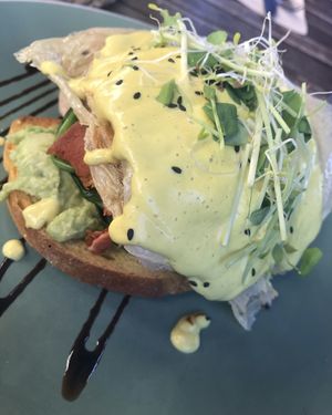 Benny  at Doko Demo V in West Burleigh