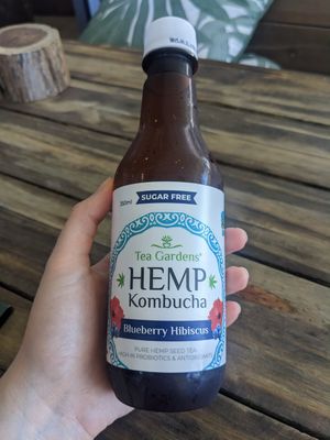 Hemp Kombucha at Doko Demo V in West Burleigh