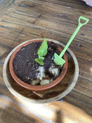   at Doko Demo V in West Burleigh