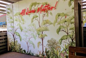  at Doko Demo V in West Burleigh