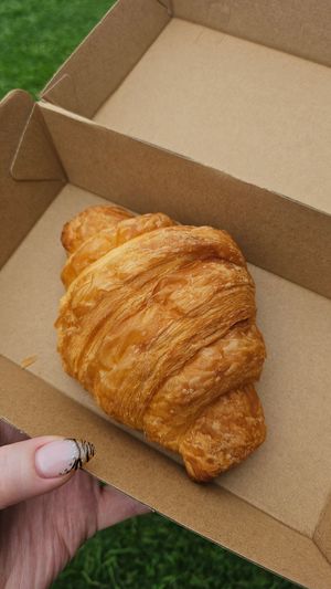 Croissant at Doko Demo V in West Burleigh