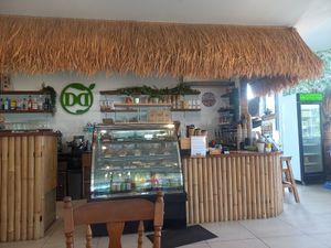  at Doko Demo V in West Burleigh