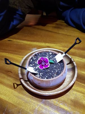 Potplant icecream dessert at Doko Demo V in West Burleigh