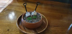 Pot Plant Icecream at Doko Demo V in West Burleigh