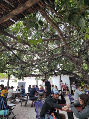 The place outside at Enamora in Bacalar