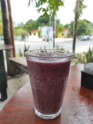 Blueberry smoothie at Enamora in Bacalar