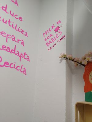  at La Tienda de Los Unicornios in Granada