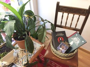 You'll always find something to read while waiting for your drinks and snacks at La Tienda de Los Unicornios in Granada