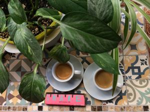 ¡Share! at La Tienda de Los Unicornios in Granada