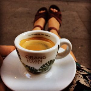 Orangutan Coffee Project - help the orangutans of Sumatra by drinking a cup of delicious coffee! at La Tienda de Los Unicornios in Granada