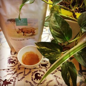 Our coffees are carefully selected and roasted with passion by top notch professionals. Always fresh. at La Tienda de Los Unicornios in Granada