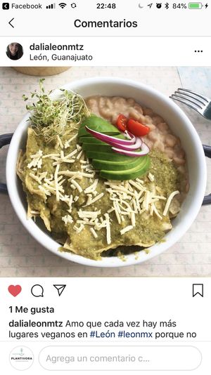 Plant Based Chilaquiles  at Plantivora in Leon