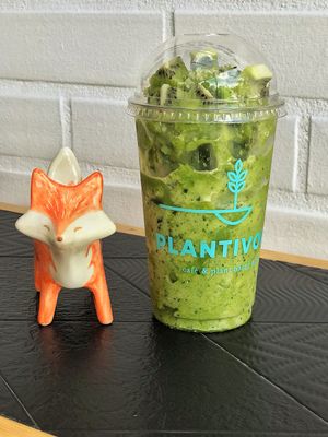 Slim Green  at Plantivora in Leon