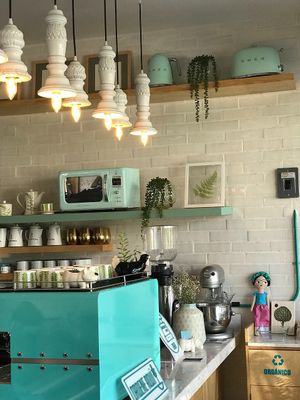 Details  at Plantivora in Leon