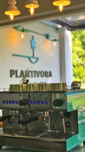 Iberital coffee at Plantivora in Leon
