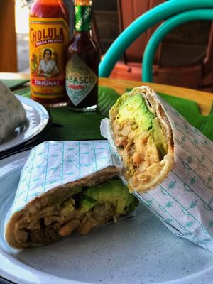 Souvlaki Wrap at Plantivora in Leon