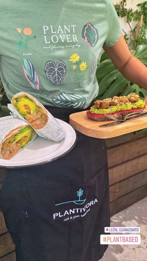 Variedad en platillos Plant Based  at Plantivora in Leon
