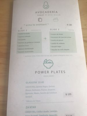 Power plates 🌿 at Plantivora in Leon