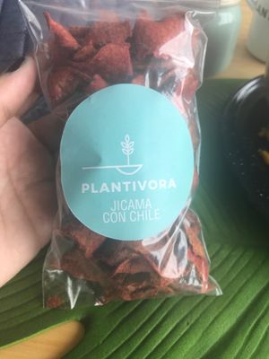 Jicama at Plantivora in Leon