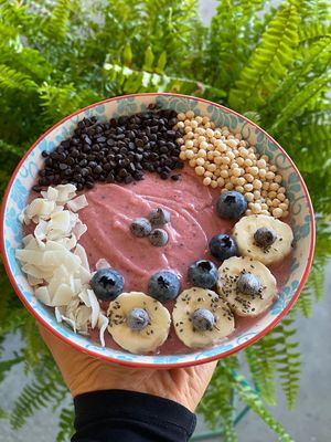 Kiwi Pink Bowl at Plantivora in Leon