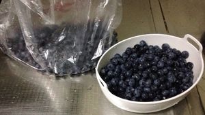 Blueberries. at Guanshui Road Vegetable Sellers in Guiyang
