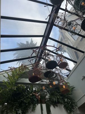 Inside  at Palm House in San Francisco